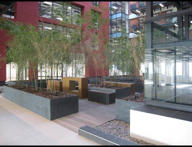 1,486M² OFFICE TO LET IN CAPE TOWN CITY CENTRE